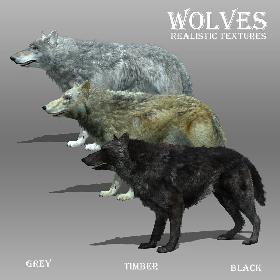Wolf Animated